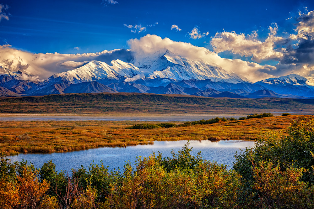 Denali, The High One | Shop Photography by Rick Berk
Denali, The High One | Shop Photography by Rick Berk