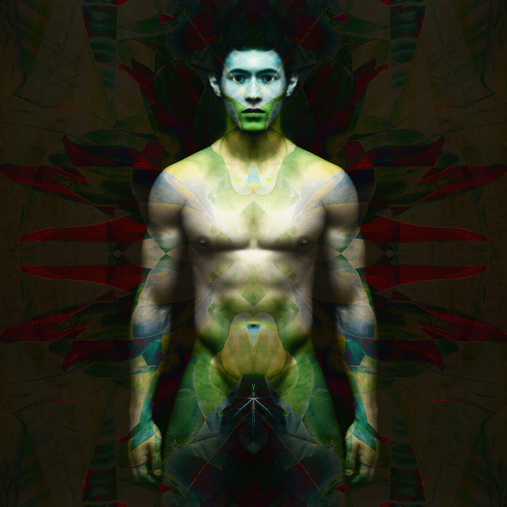Adam | Vibrant Metamorphosis Art | SkotoArt