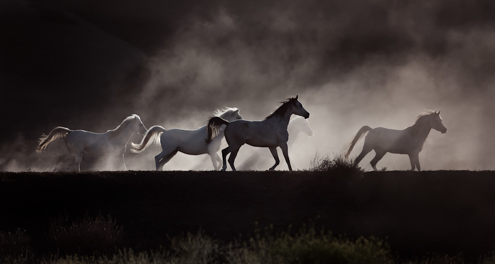 Into The Mist Photography Art | Sierra Luna Photography
