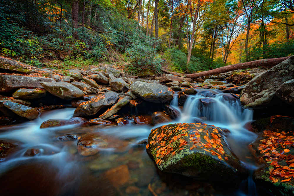 Autumn on the Chimney Tops Trail by Rick Berk Autumn on the Chimney Tops Trail by Rick Berk