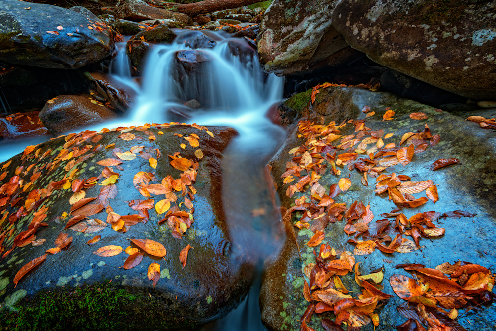 Autumn Cascade in the Smokies by Rick Berk Autumn Cascade in the Smokies by Rick Berk