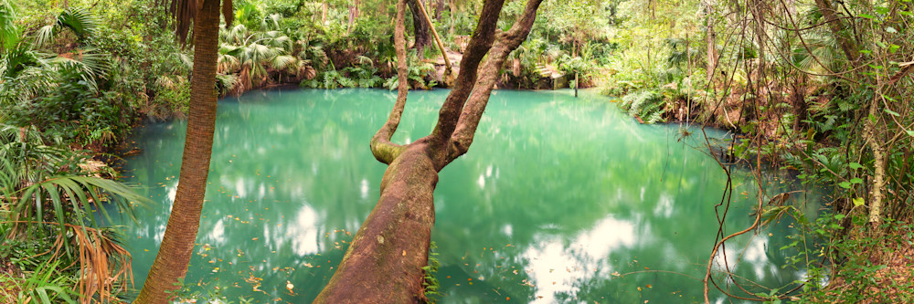 Greens Springs Florida