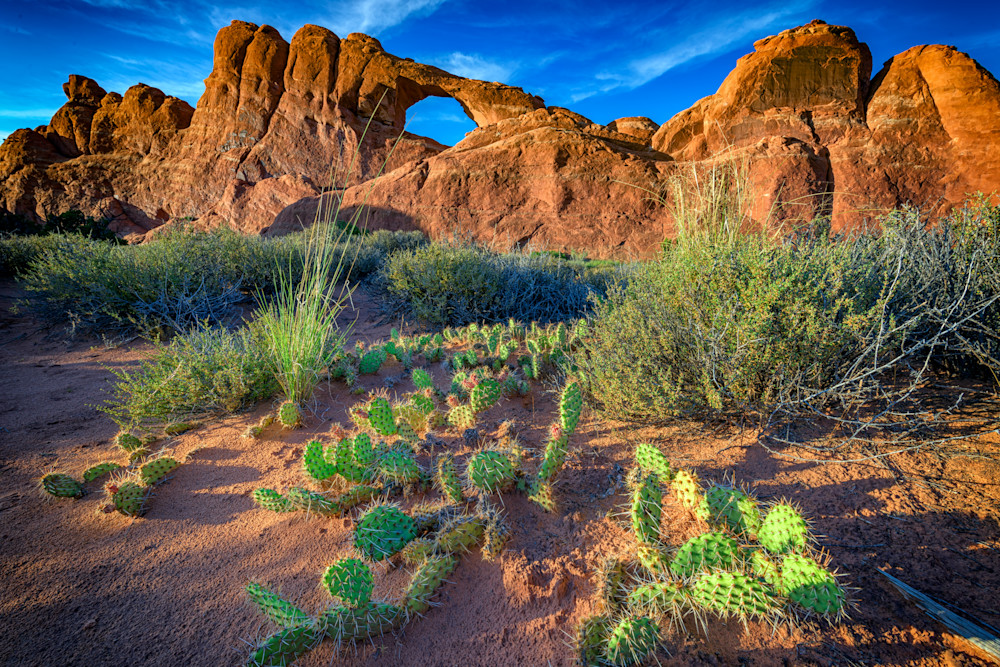 Skyline Arch in the Late Day Sun by Rick Berk Skyline Arch in the Late Day Sun by Rick Berk