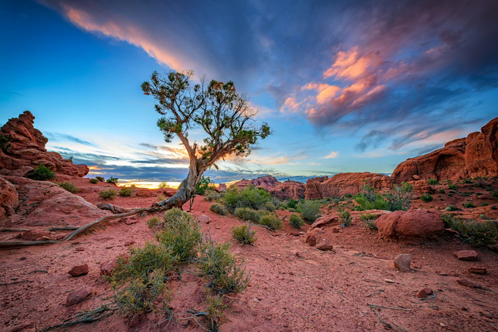 The Desert at Dusk by Rick Berk The Desert at Dusk by Rick Berk