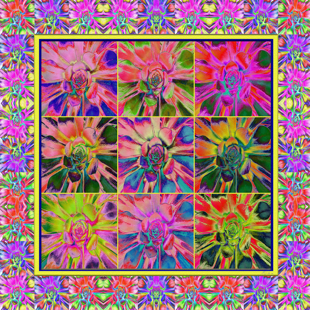 Succulent Quilt print of photograph transformed into digital art for sale by Maureen Wilks