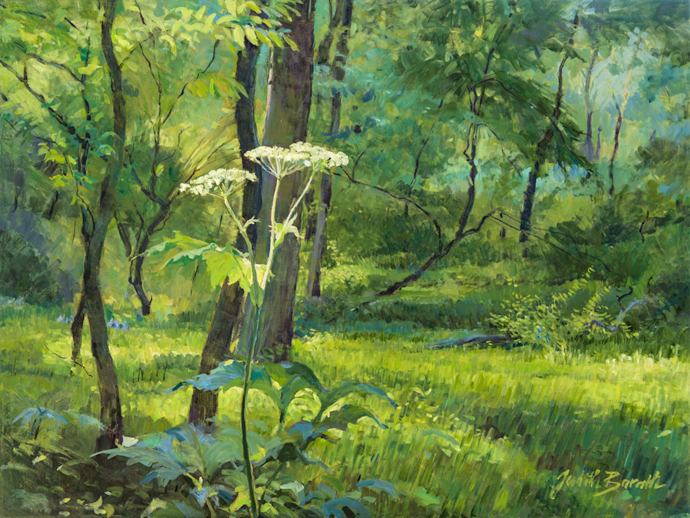 "Summer in Fullersburg Woods" Landscape Oil Painting is for sale as fine art reproduction | Judith Barath