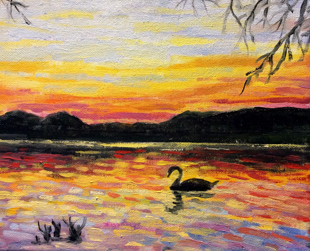 Lone swan at sunset fine art print by Hilary J. England