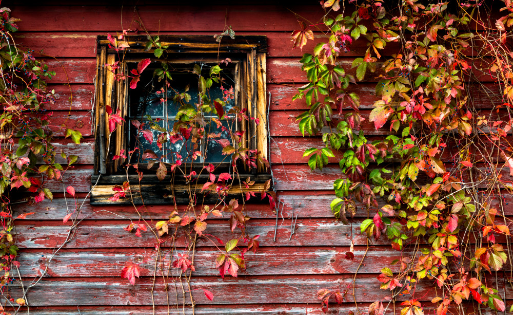 Rustic Barn 1 Photography Art | Gale Ensign Photography