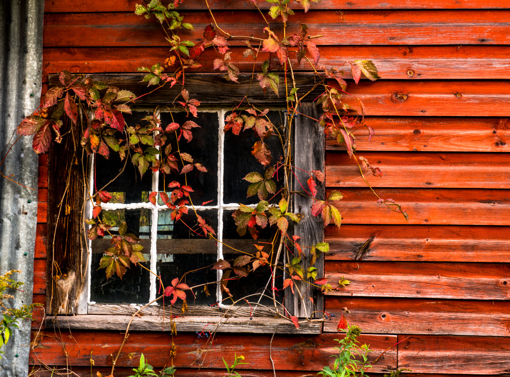 Rustic Barn 3 Photography Art | Gale Ensign Photography