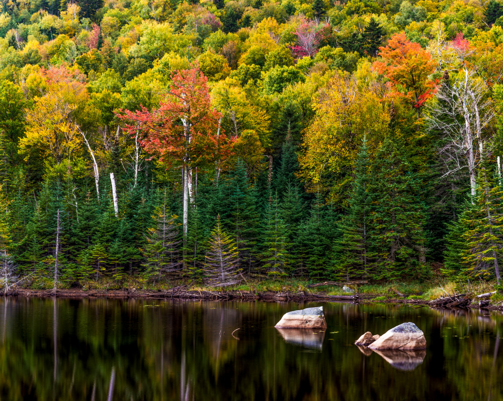 Whiteface Pond Ny Photography Art | Gale Ensign Photography