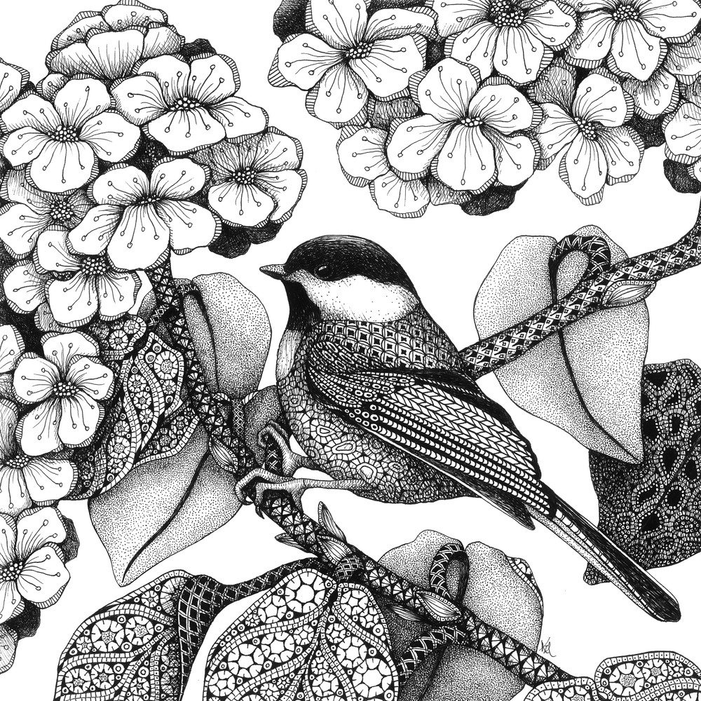 Chickadee