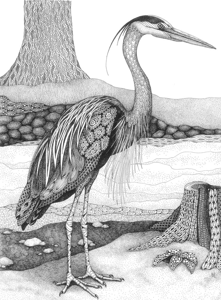 Great Blue Heron Great Blue Heron