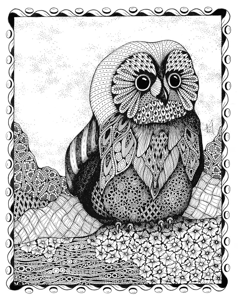 Owlet Owlet