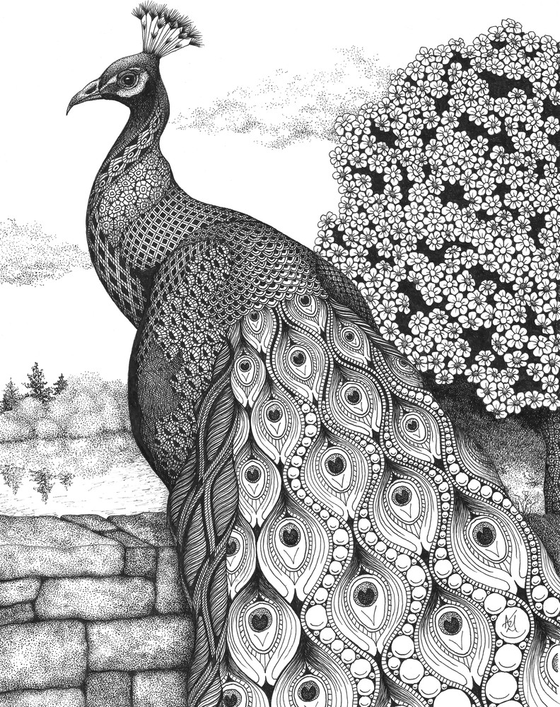 Posh Peacock Posh Peacock