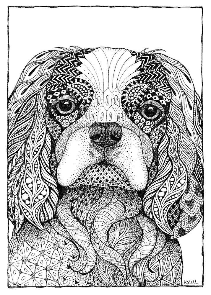 Cavelier King Charles Spaniel