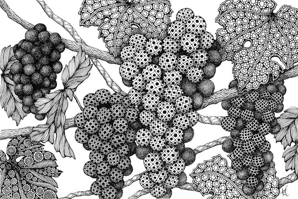 Grapes on the Vine Grapes on the Vine
