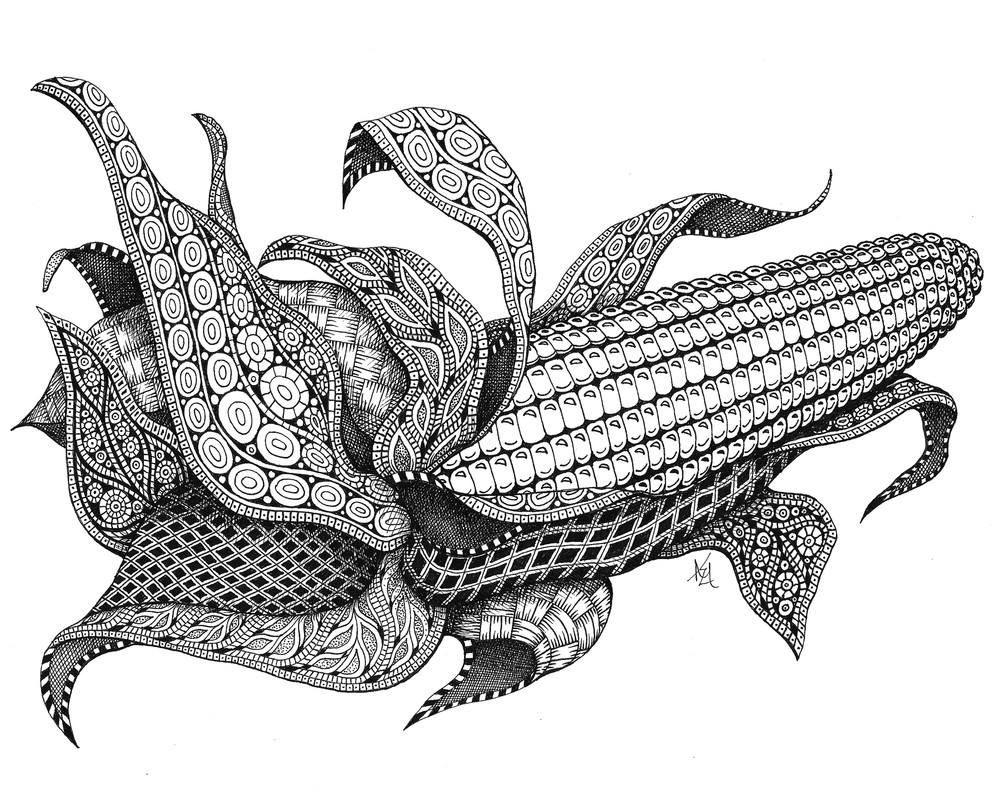 Harvest Corn Harvest Corn