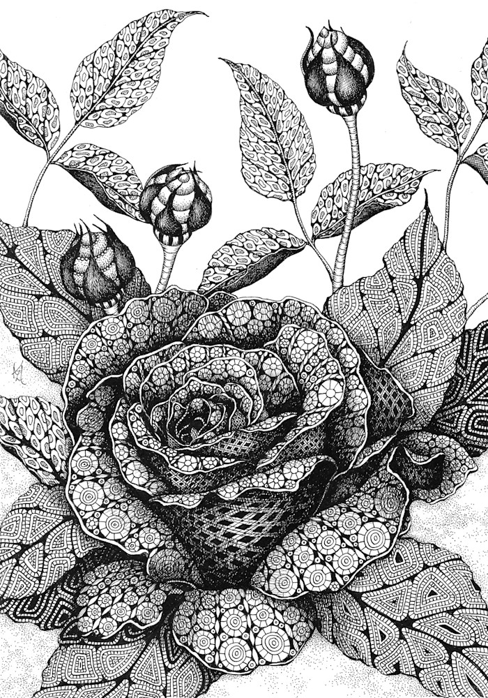 Rose Rose