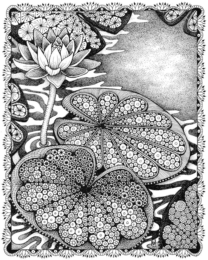 Waterlilies Waterlilies