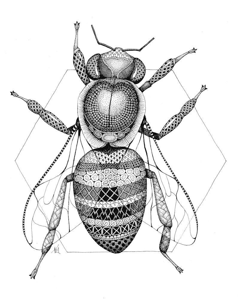 Honey Bee Honey Bee