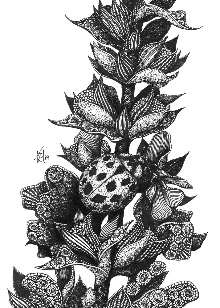Camouflage (Ladybug) Art | Kristin Moger "Seriously Fun Art"