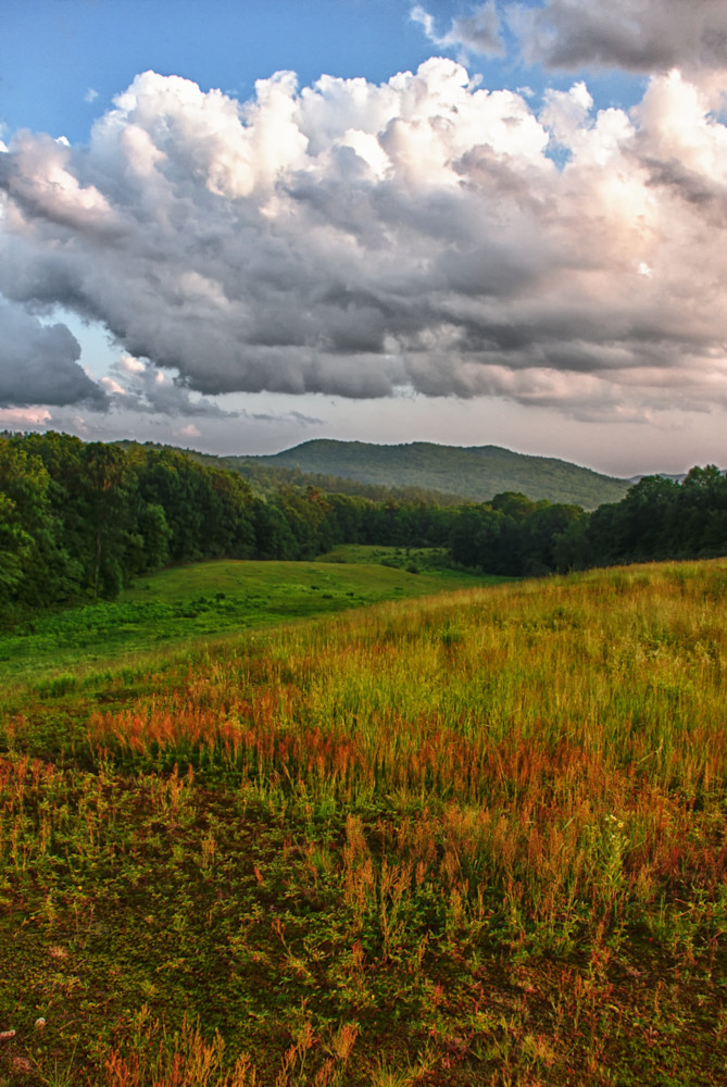 Salinger View Salinger View