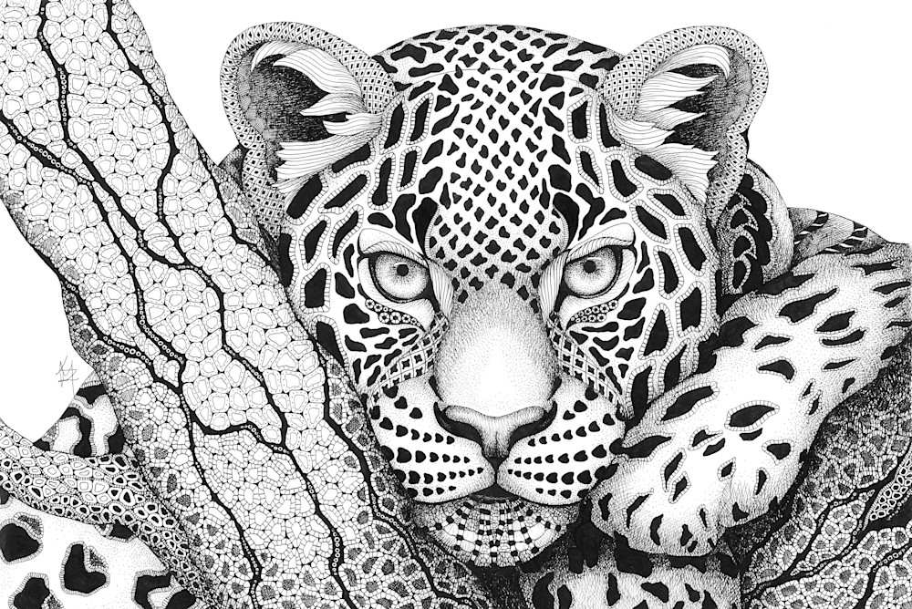 Gotcha! (Leopard)