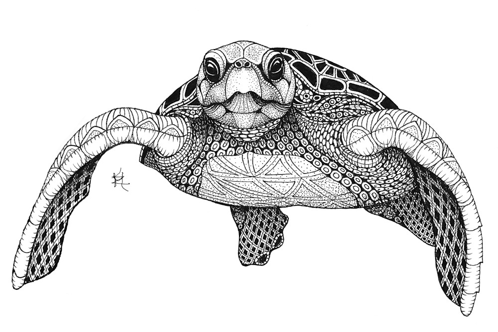 Sea Turtle (front) Sea Turtle (front)