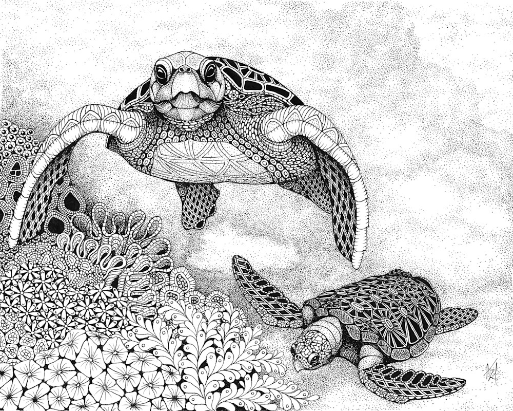 Hello (sea turtles) Hello (sea turtles)