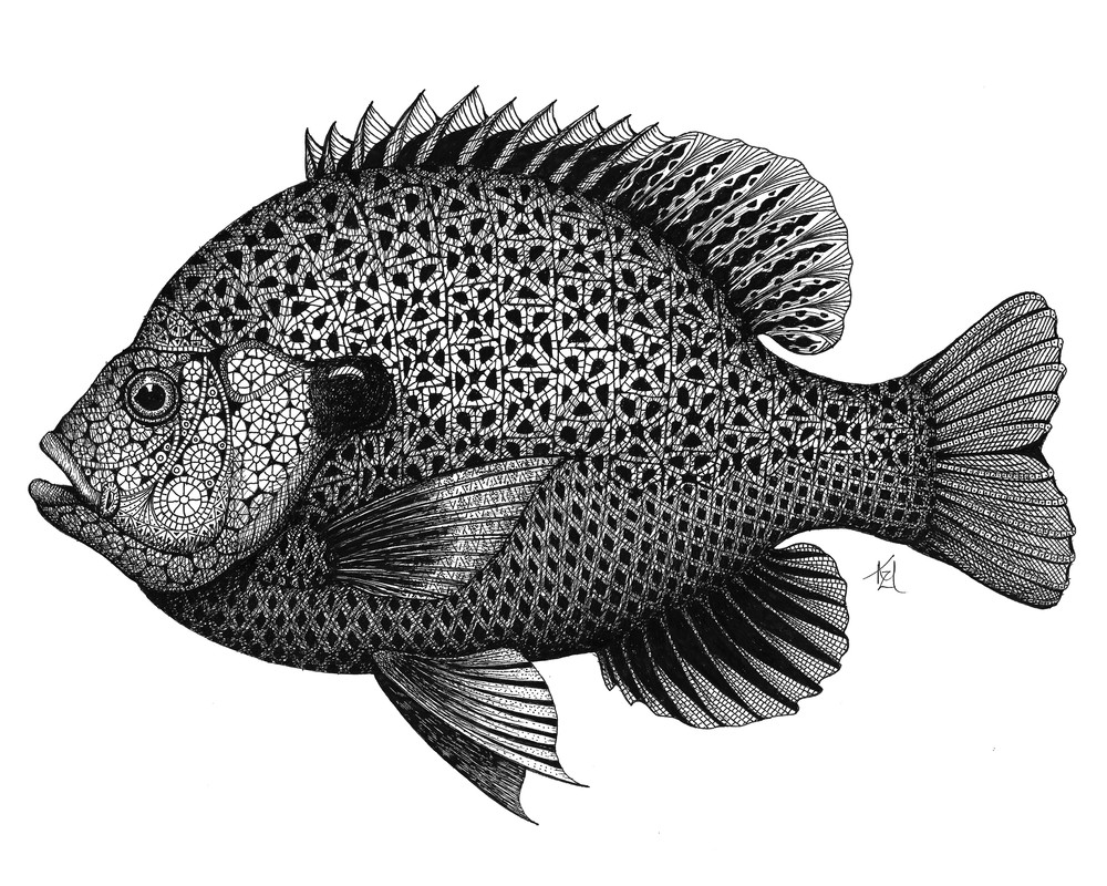 Sunnie (Bluegill Sunfish)