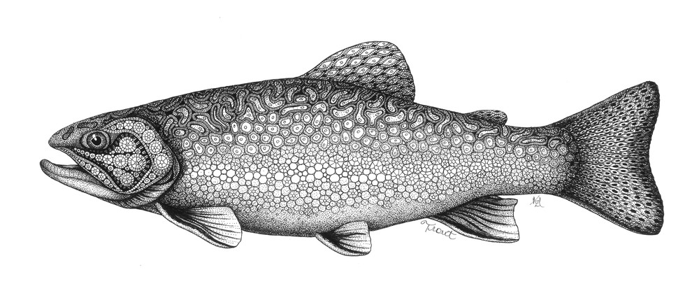 Trout Art | Kristin Moger "Seriously Fun Art"