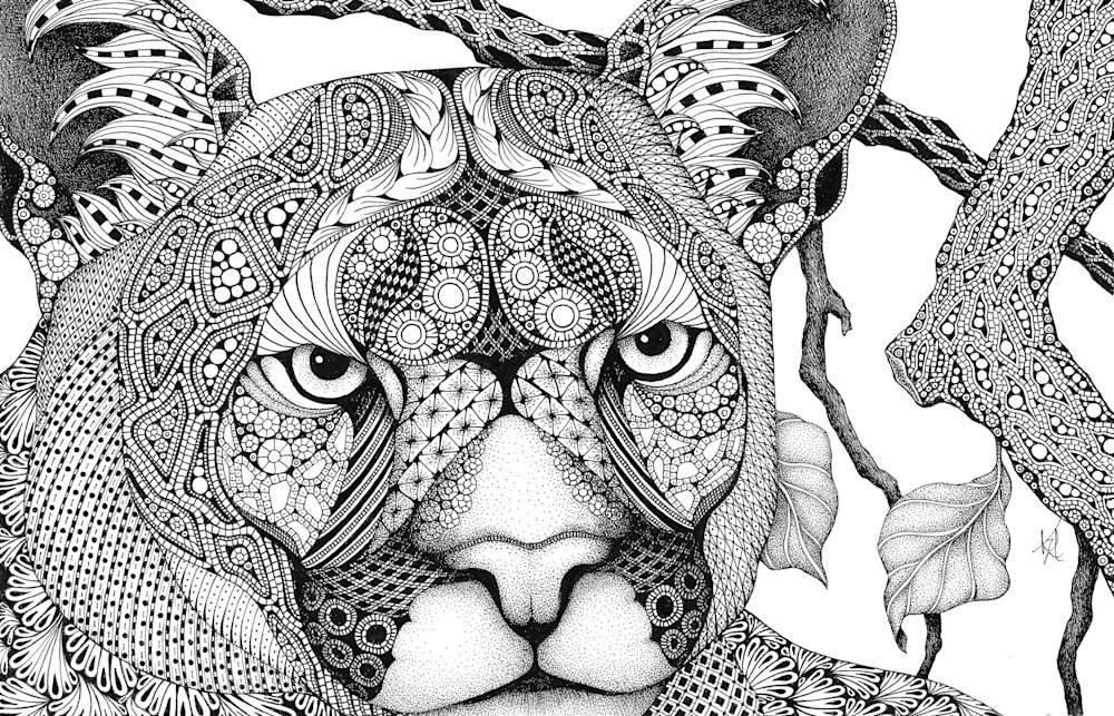 Here, Kitty Kitty (cougar)