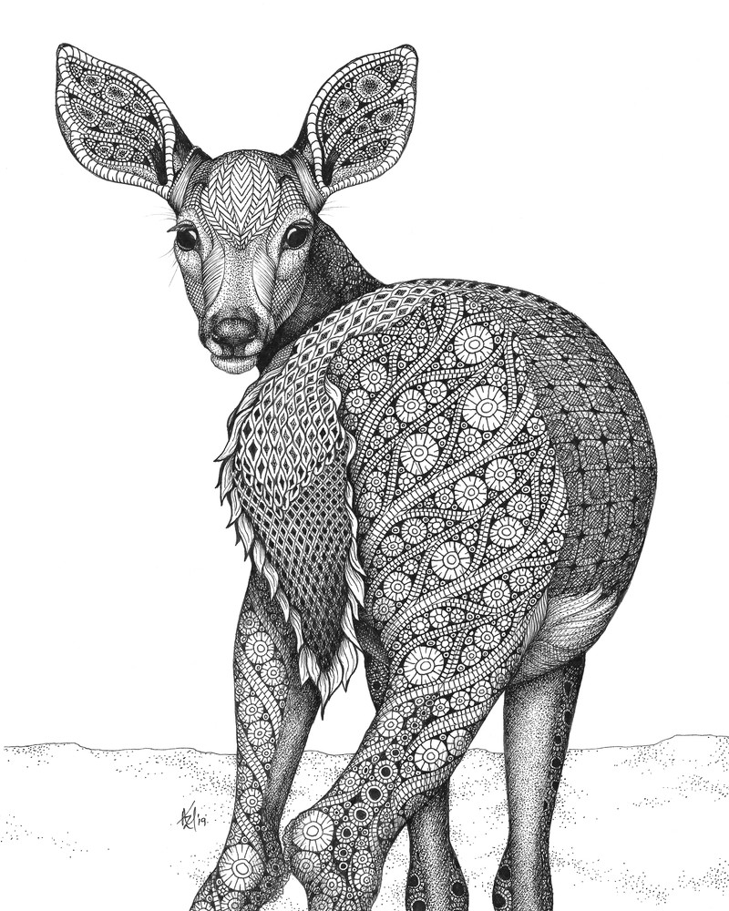 Don't Mess with Baby (deer)