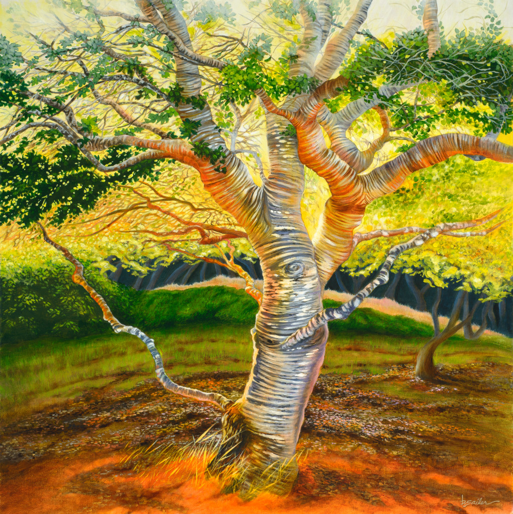 "Carmel Valley Oak" Art | Bonnie Sailer Fine Art