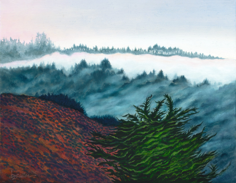 "Fog Over Fish Ranch" Art | Bonnie Sailer Fine Art