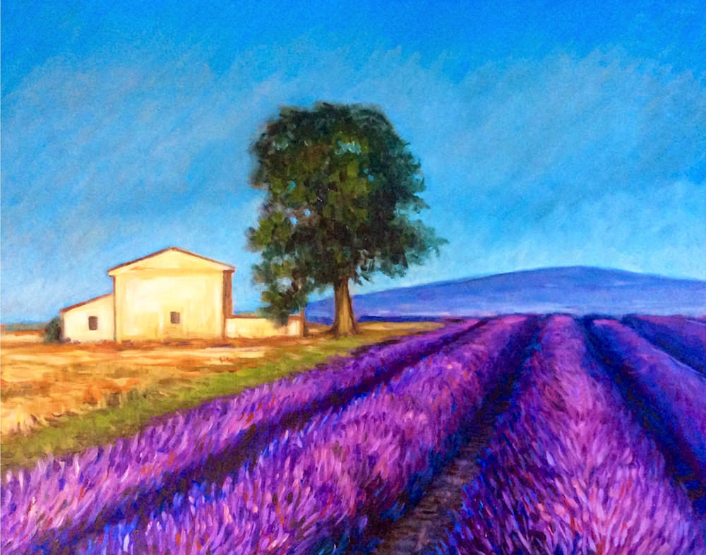 Lavender fields in France Fine Art Print by Hilary J. England