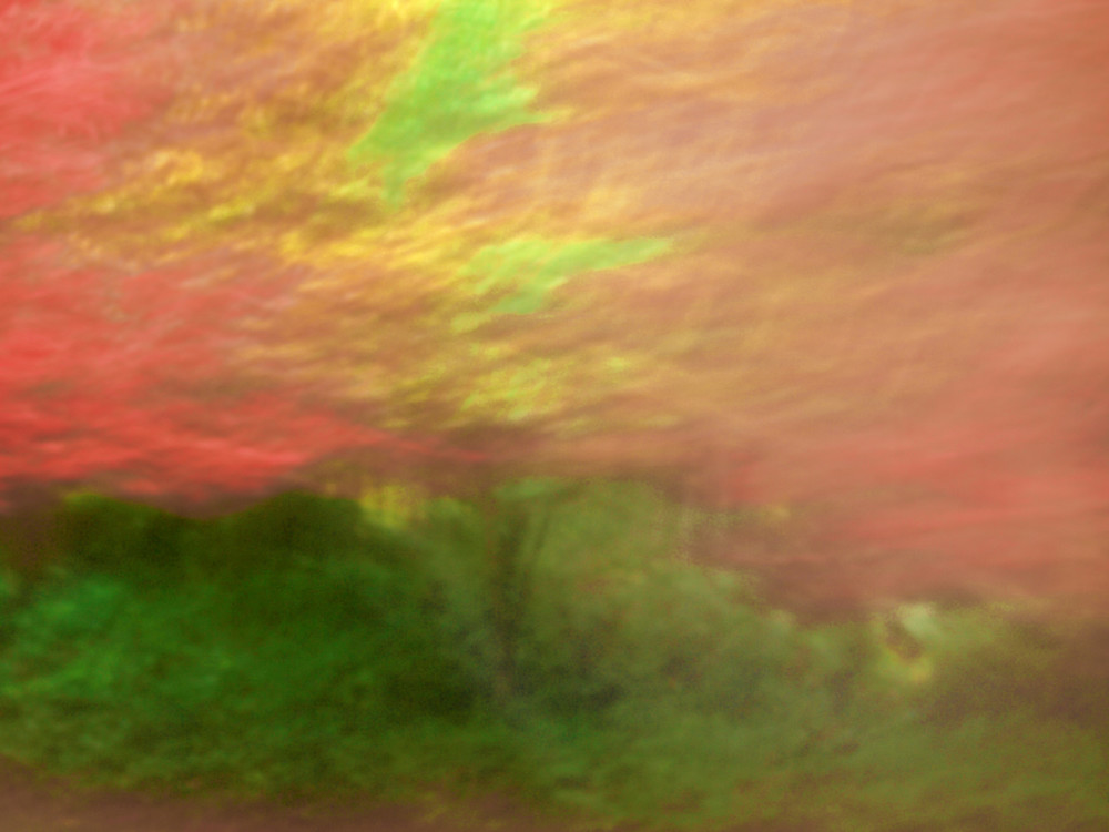 Abstract View of Fall