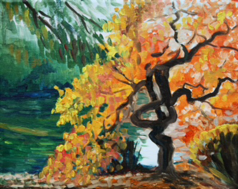Twisted Tree by the River fine art print