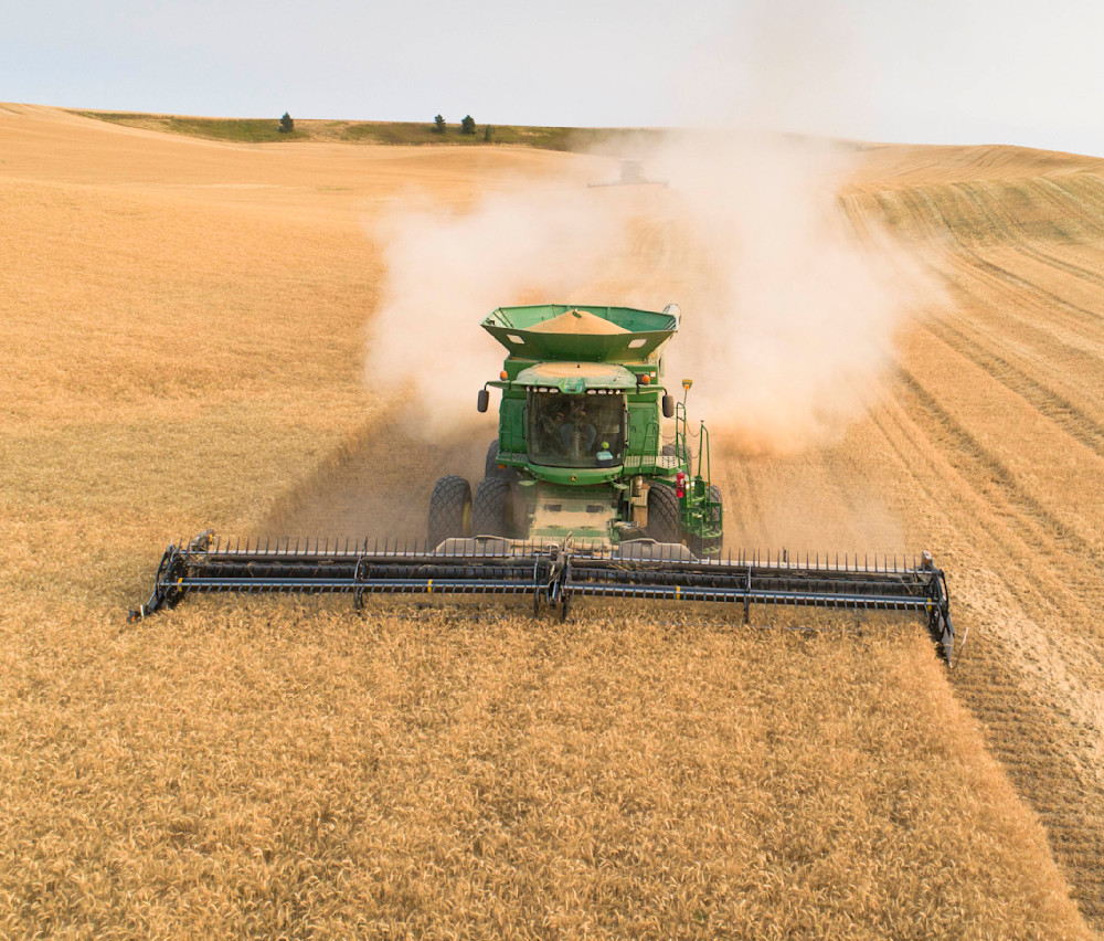 Aerial view of Soft White wheat being harvested in eastern, Washington