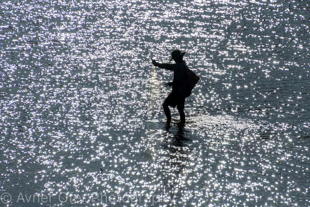 Fisherman with net in glistening water