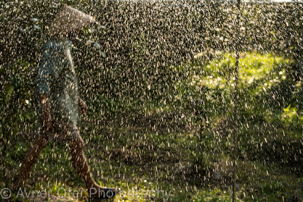 Vietnamese farmer  behind water droplets
