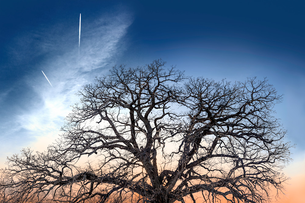 If You Love Trees Collection - color | Contrails - color. A fine art, color photograph of jet trails over Kansas by David Zlotky.