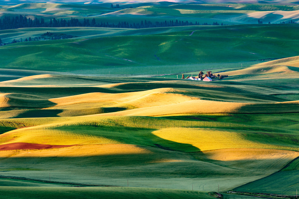 Fields A Glow