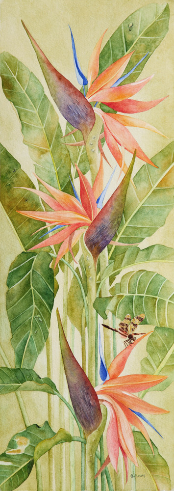 A print on gallery-wrapped canvas by watercolor artist Sandra Galloway of a colorful orange bird of paradise with a dragonfly sitting on a blossom. 