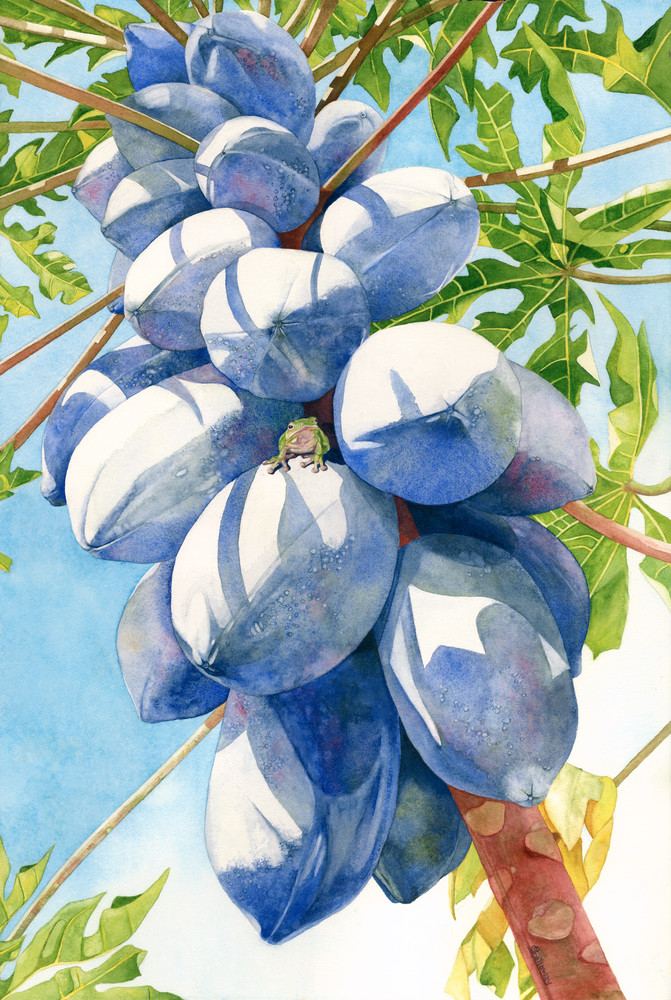 A print on gallery-wrapped canvas painted as if looking up a blue-colored papaya tree.  Original artwork done in watercolor by artist Sandra Galloway
