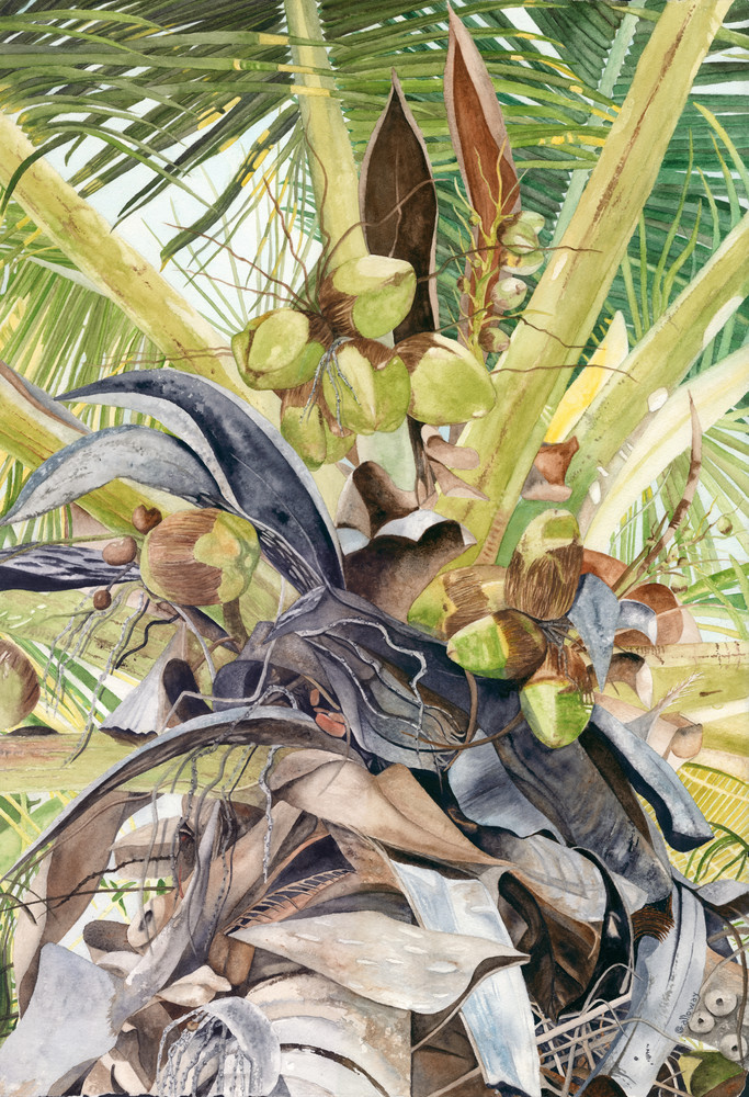 A print on gallery wrapped canvas by watercolor artist Sandra Galloway of looking up a green-colored coconut palm