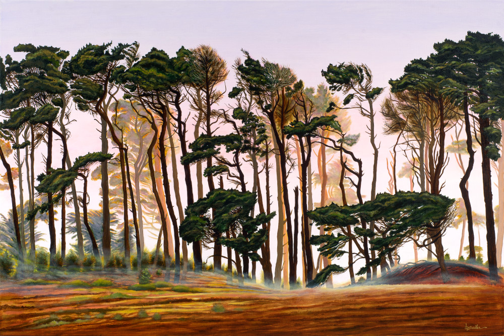 "Pines Bathed In Fog, Big Sur" Art | Bonnie Sailer Fine Art