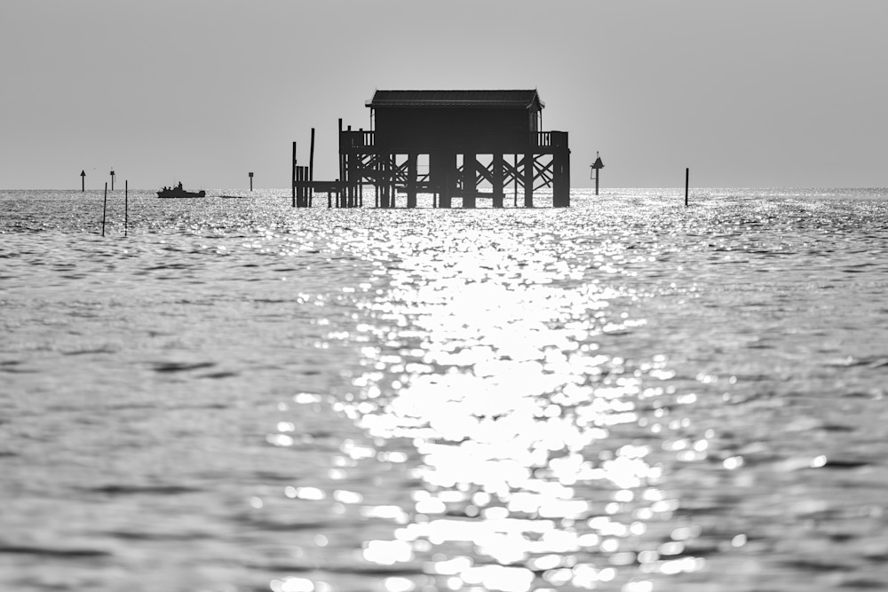 Stilt House Glow
