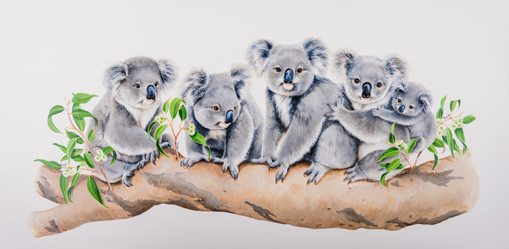 Koala Print, Koala Illustration, Australian Animal, Koala Painting