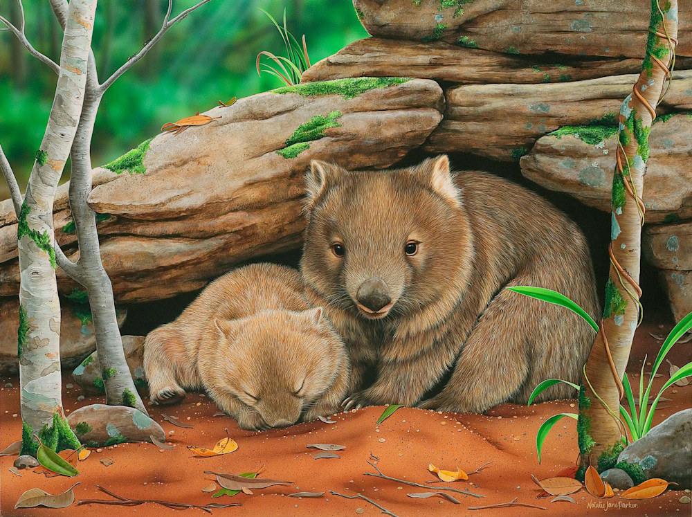 Bare-nosed Wombat (Vombatus ursinus) and joey Australian Wildlife Art by Natalie Jane Parker